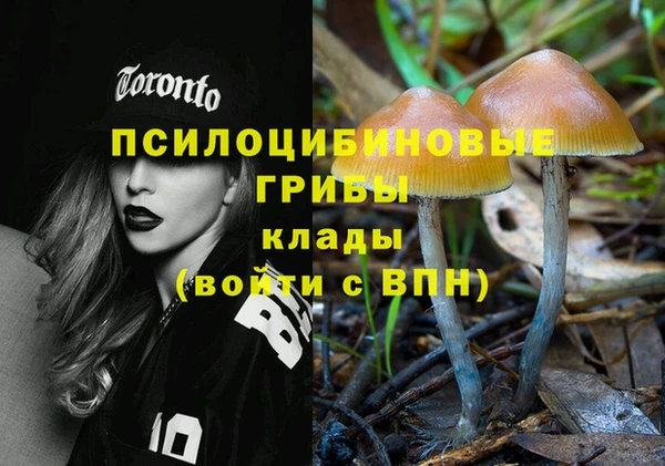 гашишное масло Богородицк