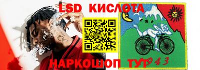 шишки Ликино-Дулёво