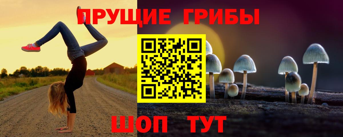 Горячий Ключ  Псилоцибиновые грибы ЛСД  Вход с VPN 
